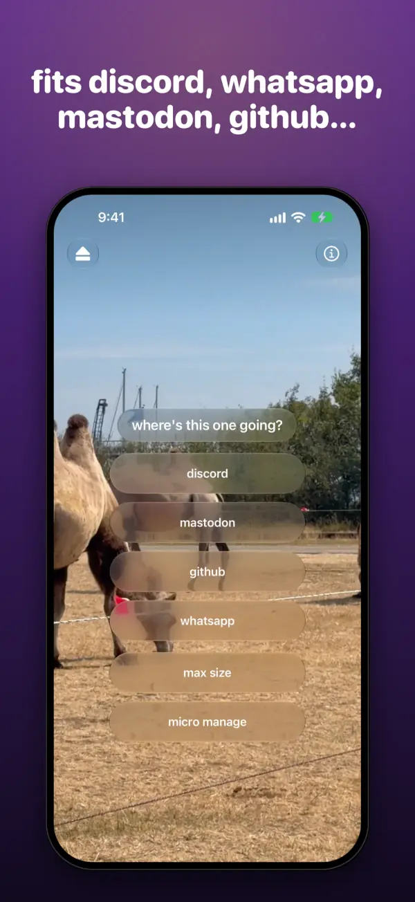 where's this one going? a menu of discord, mastodon, github, whatsapp, max size and micro manage.